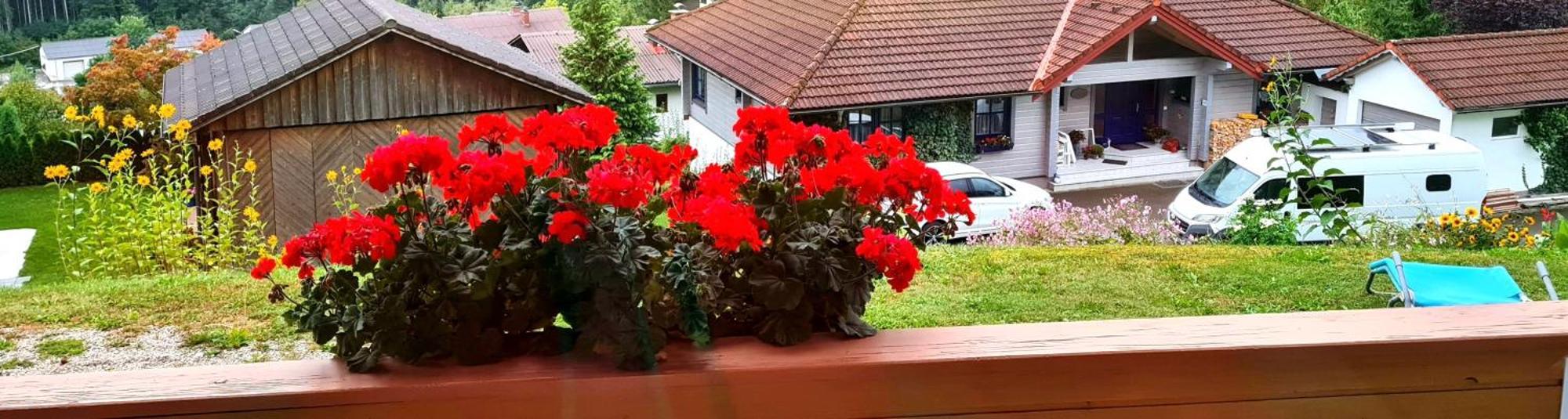Haus Loeger Apartments Pyhrn Priel فينديشغارشتن المظهر الخارجي الصورة